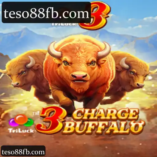 3ChargeBuffalo