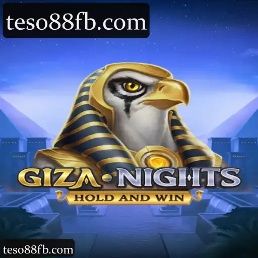 GizaNights
